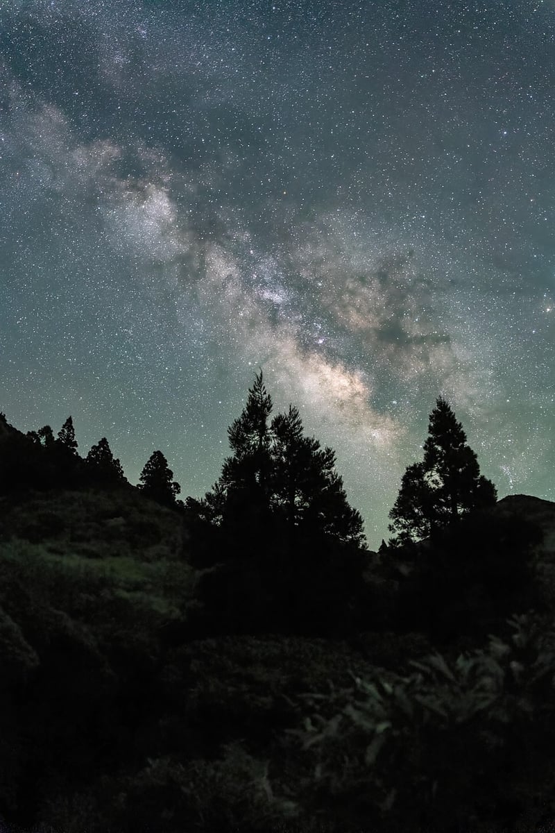Cosmic Renewal