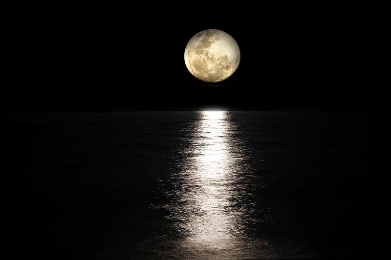 Lunar Festivities